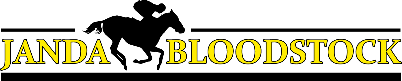 Janda Bloodstock - partner sout